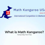 What is Math Kangaroo?